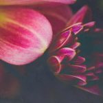 九游娱乐平台的优势:安全、便捷与丰富的游戏选择 fwpcf