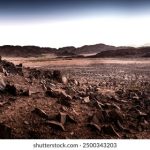 从新手到高手:在欧博娱乐上提升你的游戏技巧与策略 m0u3sv