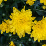 10108开奖结果最新公布,惊喜大奖花落谁家? 271ym2l