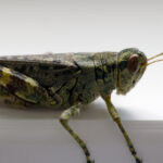 095期历史开奖号码查询与详细数据分析 2zbiz0wot