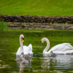 09直播:开启全新互动娱乐时代的序幕 3m6g0