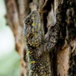 23144期最新开奖结果查询与中奖号码公布 51777yt