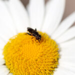 079开奖结果与中奖号码之间的关联性分析 68lnimno9