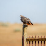 22选5最新开奖结果今日公布,快来看看你中奖了吗? 6jmb95