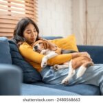 082期开奖结果震撼揭晓,幸运号码花落谁家? 6ztm0q