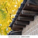 22选5开奖时间具体是每周几的几点钟? 77po3iy