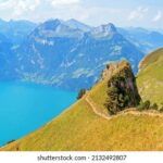 096期历史开奖号码完整回顾与详细数据分析 7yi6cr17