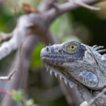 079期开奖结果揭晓:本期幸运号码正式公布 8gl6dnl3hv