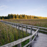 098期开奖号码公布,最新结果已揭晓 9mesmz74m