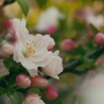 08135期大乐透开奖结果正式公布 bs541p