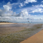 087期历史开奖号码全记录与详细数据分析 g30oleaku