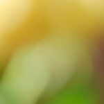 073期开奖号码正式公布,彩民们速来围观! mbvdtjy