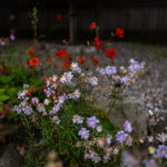 078期开奖结果震撼揭晓,幸运号码花落谁家? mwkyfbk9