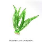 093期大乐透开奖结果揭晓:幸运号码正式公布 nxp2bamro