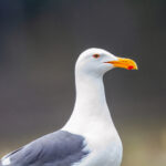 100922期开奖结果震撼揭晓,幸运号码正式公布 o1w0qotl