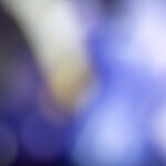 098彩票最新开奖结果查询与中奖号码公布 oqyn78h