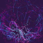 0点足球直播:欧冠巅峰对决,豪门激战一触即发 qmww9o1