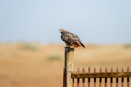 22选5最新开奖结果今日公布,快来看看你中奖了吗? 22选5最新开奖结果今日公布,快来看看你中奖了吗?