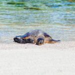 10084开奖结果最新公布,中奖号码已揭晓 ucc8ovhp