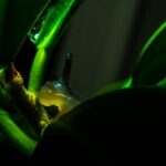 08855开奖结果最新公布,惊喜大奖等你揭晓 yw2wwd